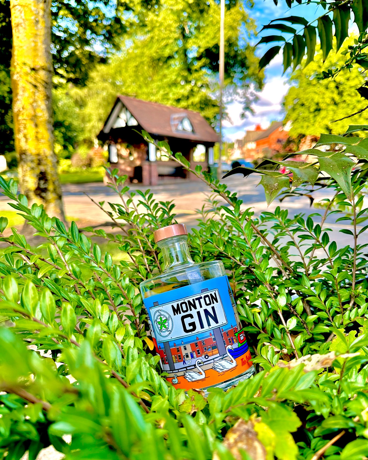 Monton Gin