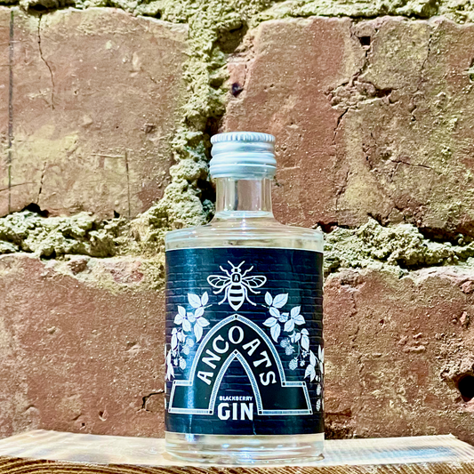 Ancoats Blackberry Gin 5cl Miniature